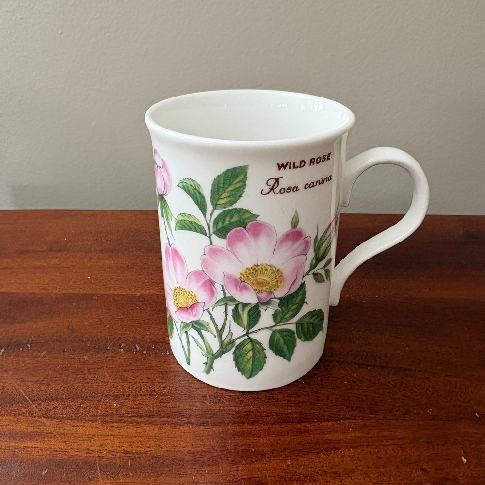 Crown Trent Wild Rose Rosa Canina Fine Bone China Mug‎ Made in England Botanical